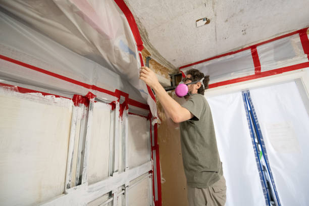 Best HVAC Mold Inspection and Cleaning  in Coalinga, CA